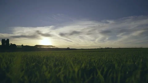 Sunset at Farm in Brazil Stock Footage 142771040