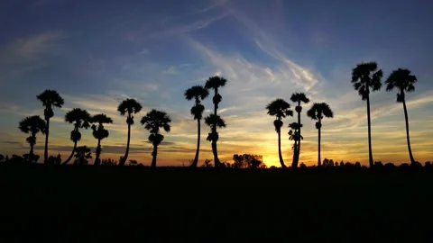 Sunset on the farm 库存影片 136190111