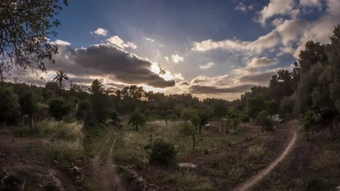 SUNSET ON FARM IN IBIZA Stockbeeldmateriaal 239014266