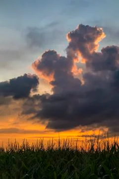 Sunset on the Farm Stock Photos