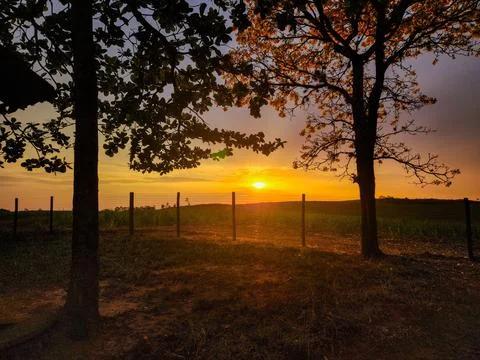 Sunset at the Farm Stock Photos
