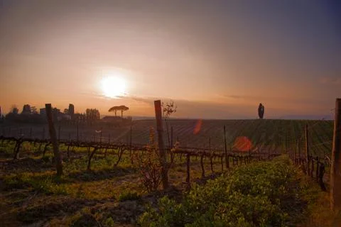 Sunset at a farm with Pienza city view in the background, Tuscany, Italy Stock Photos