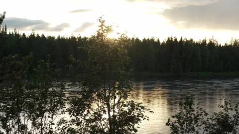 Sunset at a fast flowing river in Finland surrounded by trees Stock Footage 244115490