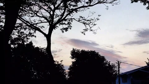 Sunset Fast Sped Stock Footage 300677177