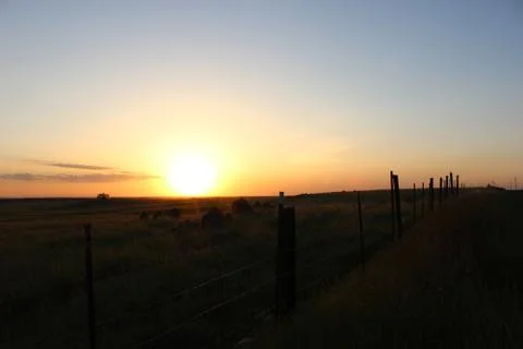Sunset Fence 写真素材