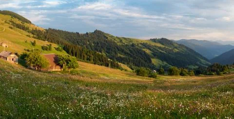 Sunset on the field in the Carpathians Stock Photos