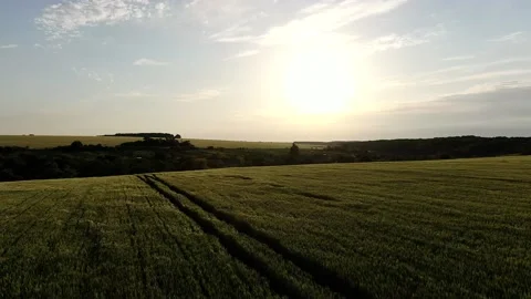 Sunset field in the evening Stock Footage 144609877