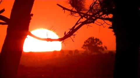 Sunset in the field. Stock Footage 24460968