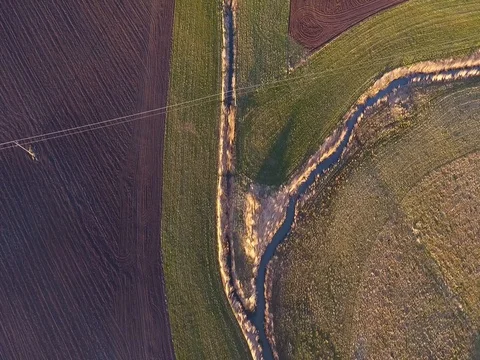 Sunset on a field Stock Footage 77472471