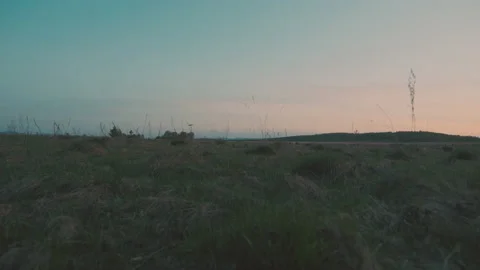 Sunset in the field Stock Footage