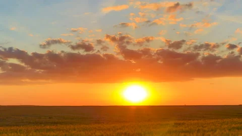 Sunset in the Field Stock Footage