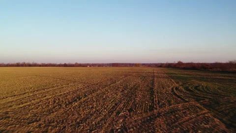 Sunset in the field Stock Footage 164403486