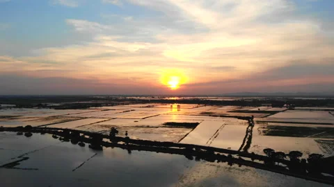 Sunset at the field 스톡 동영상 291103654