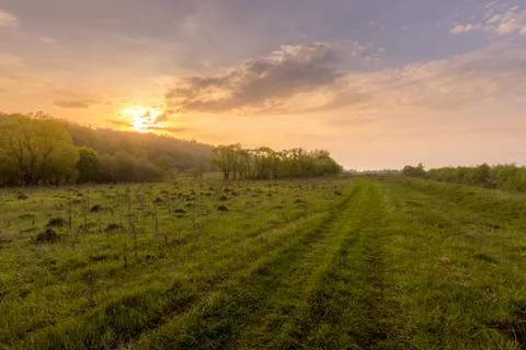 Sunset in a field with grass and footpath. Stock Photos