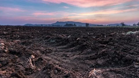 Sunset in a field with mountains in the background Stock Photos