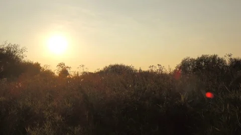 Sunset Field Overview Stock Footage 102744914