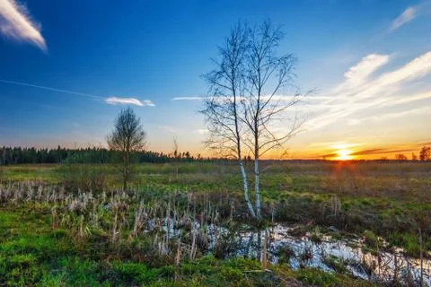 Sunset field Stock Photos