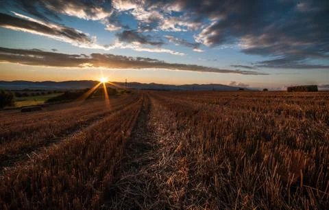 Sunset in the field Foto stock