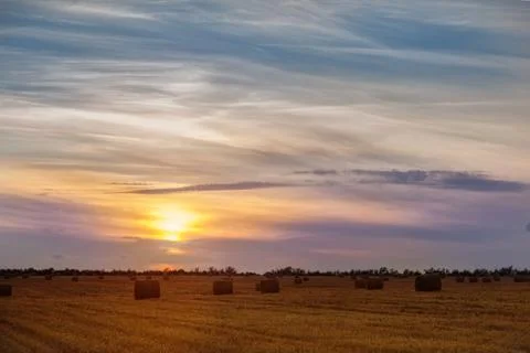 Sunset in the field Stock Photos