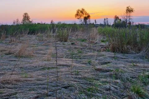 Sunset field Stock Photos