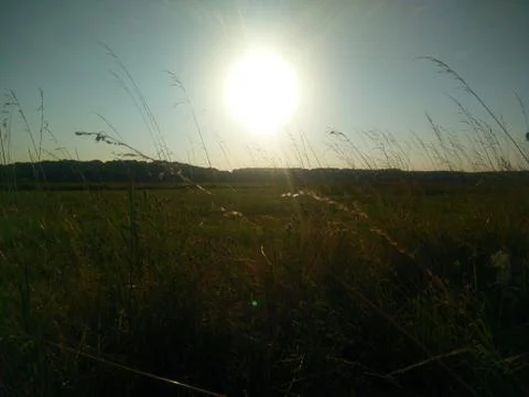 Sunset in the field Foto stock