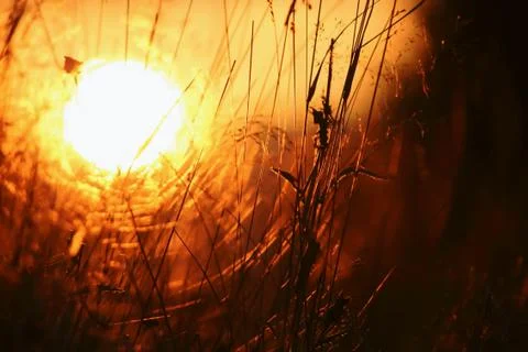 A sunset in a field Stock Photos