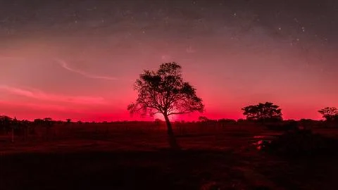 Sunset in the field 스톡 사진