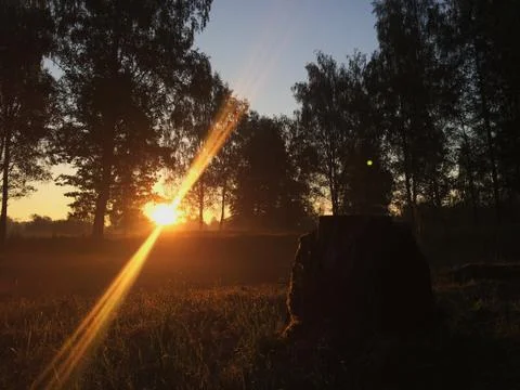 Sunset in the field 스톡 사진