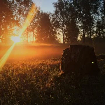 Sunset in the field Stock Photos