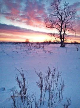 Sunset on the field Stock Photos