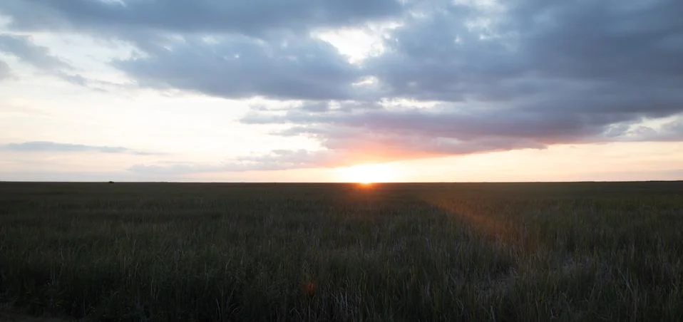 Sunset in the field Stock Photos