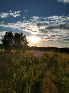 Sunset in the field Stock Photos