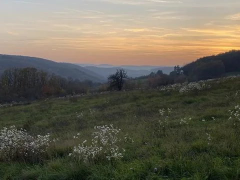 Sunset in the field Stock Photos