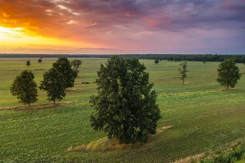 Sunset in field Foto stock