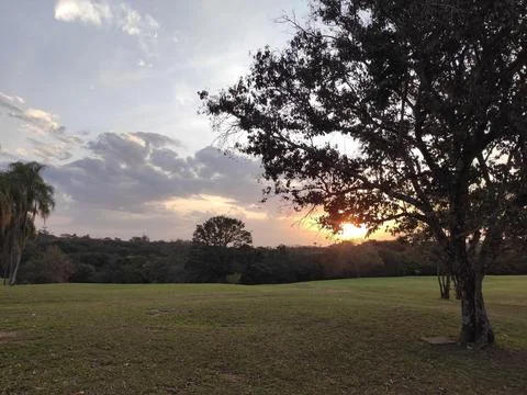 Sunset in the field Fotos de archivo