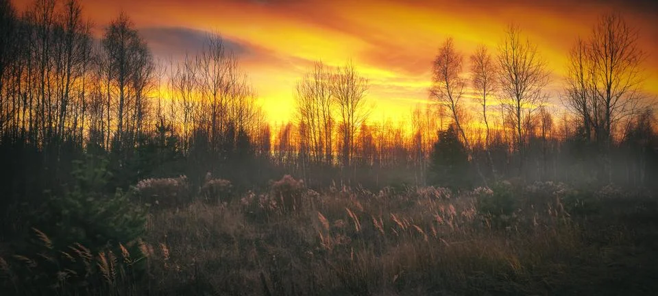Sunset in the field Foto stock
