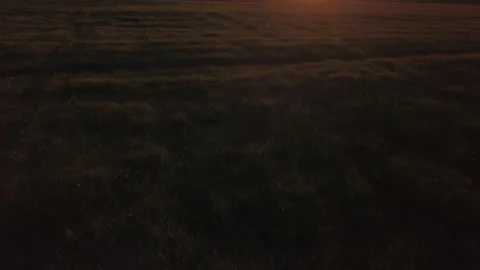Sunset Field Reveal Video stock 155470695