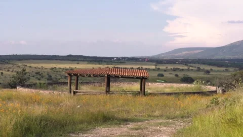Sunset in the field with some flowers Stock Footage 191287686