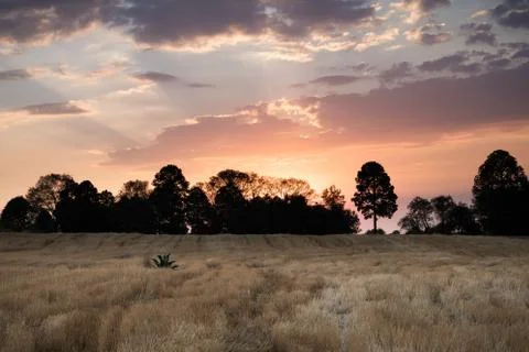 Sunset in a field of straw Stock Photos