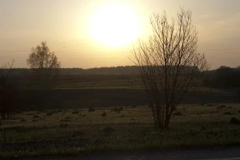 Sunset in a field with trees and grass on the foreground. Stock Photos