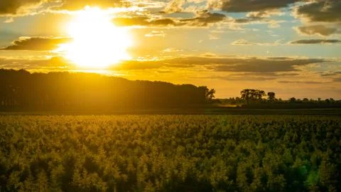Sunset on the field in Ukraine. Stock Photos
