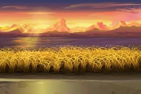 Sunset, field, vector landscape Stock Illustration