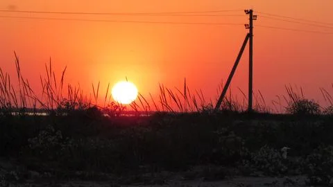Sunset on the field with young rye or wheat in the summer. Landscape. Stock Photos