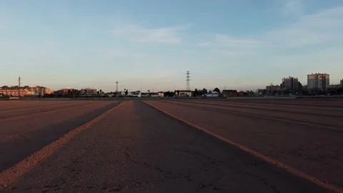 Sunset in the fields of Alboraya, Valencia Stock Footage 148237476