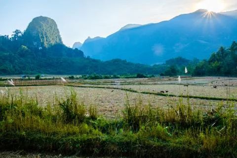 Sunset on the fields and the mountains, Laos Stock Photos