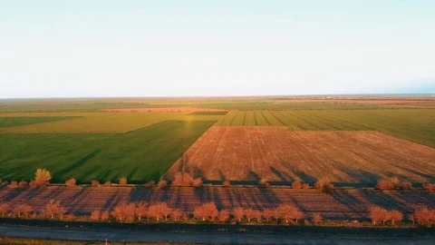 Sunset Fields 库存影片 106840911