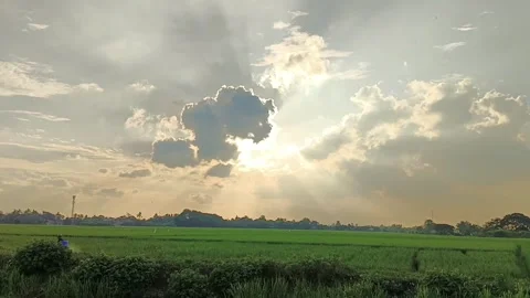 Sunset in the fields Stock Footage 234882462