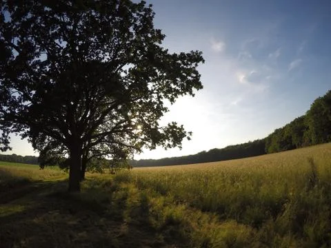 Sunset Fields Stock Photos