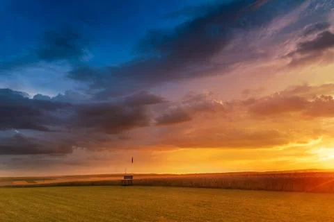 Sunset in fields in summer Foto stock