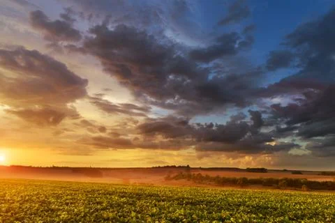 Sunset in fields in summer Fotos de archivo